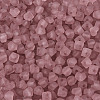 FGB Frosted Transparent Glass Seed Beads SEED-N013-03A-06-3