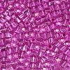 Glass Seed Beads SEED-M011-01A-21-3