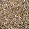 MIYUKI Delica Beads SEED-X0054-DB1731-3