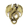 Retro Antique Golden Animal Alloy Brooches for Backpack Clothes JEWB-S040-02A-AG-1