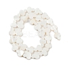 Natural Freshwater Shell Beads Strands SHEL-K010-02B-2