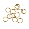 Iron Split Rings IFIN-XCP0001-38-1