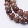 Natural Purple Aventurine Beads GSR10mmC025-2