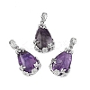 Natural Amethyst Pendants G-P393-P06-1