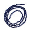 Transparent Glass Beads Strands GLAA-C019-01A-08-2