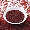 MIYUKI Round Rocailles Beads X-SEED-G007-RR0304-2