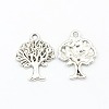 Tibetan Style Alloy Pendant TIBEP-LF10394YKG-AS-FF-1