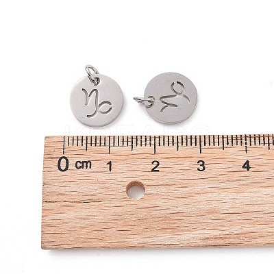 Non-Tarnish 304 Stainless Steel Charms STAS-Q201-T445-10S-1