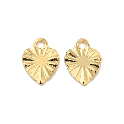 304 Stainless Steel Charms X-STAS-C080-03G-1