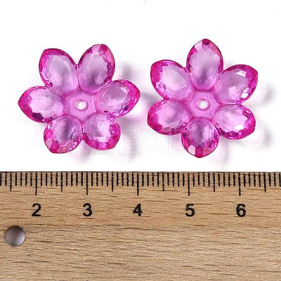 Transparent Acrylic Bead Caps OACR-H118-03B-1