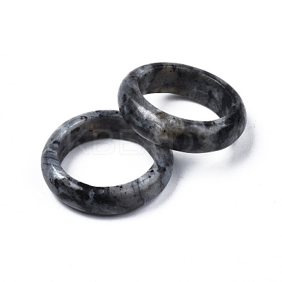 Natural Black Larvikite Plain Band Ring G-N0326-99C-1