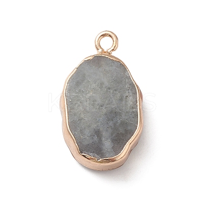 Natural Labradorite Pendants X-G-K333-01L-1