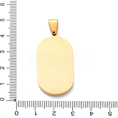304 Stainless Steel Micro Pave Cubic Zirconia Pendants STAS-U043-25G-1