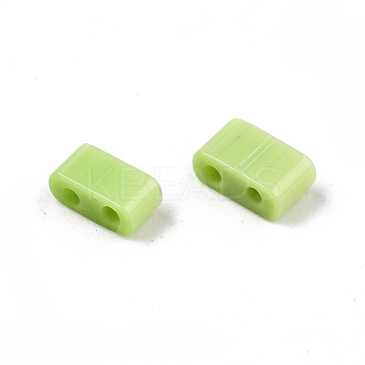 FGB 2-Hole Glass Seed Beads X-SEED-S031-M-SH44-1