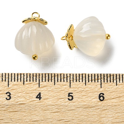 Natural Agate Shell Shaped Pendants G-G179-04-1