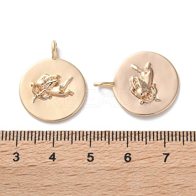 Brass Pendants KK-C079-02G-1
