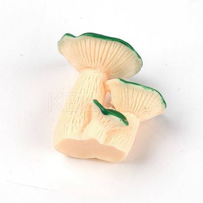 Resin Decoration DJEW-WH0011-57-1