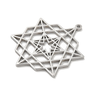 304 Stainless Steel Pendants STAS-M067-09P-1