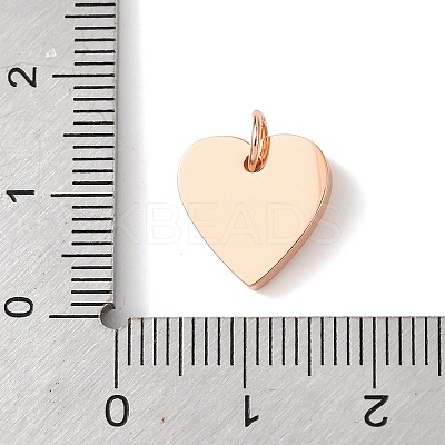 316 Surgical Stainless Steel Pendants LS-STAS-K178-05RG-1