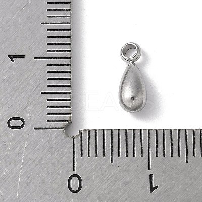 304 Stainless Steel Charms STAS-U046-01E-P-1