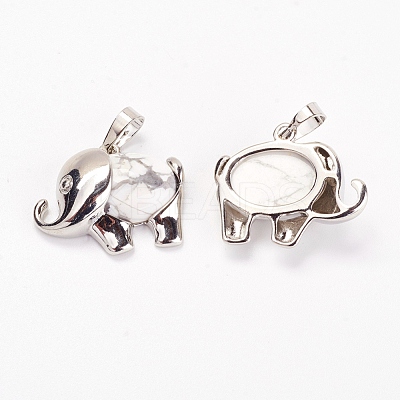 Natural Howlite Pendants G-G713-E06-1
