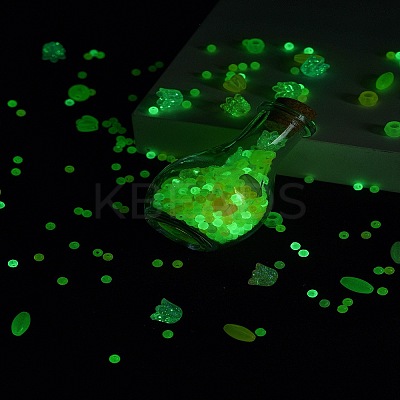Luminous Acrylic Beads Wish Bottle DIY Making Kits DIY-FS0007-58-1