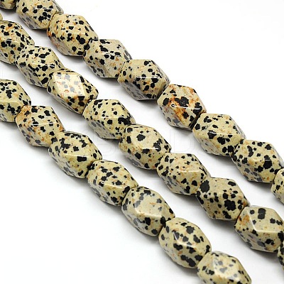 Natural Dalmatian Jasper Faceted Rhombus Beads Strands G-L235-12-1