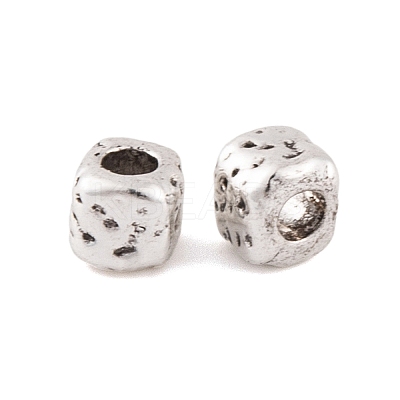 Antique Silver Alloy Tibetan Beads FIND-S230-14AS-1