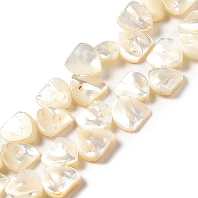 Natural White Shell Beads Strands SHEL-G014-15-1