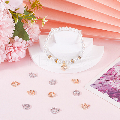 12Pcs 2 Colors Brass Micro Pave Cubic Zirconia Charms KK-BBC0014-88-1