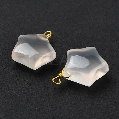 Natural Agate Star Pendants G-U025-03G-1