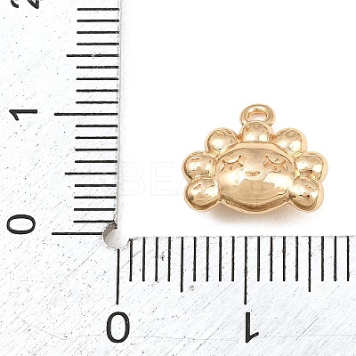 304 Stainless Steel Charms SA-CBA4377-02B-G-1
