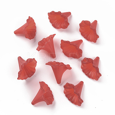 Transparent Acrylic Beads BSF796-C12-1