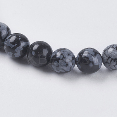 Natural Snowflake Obsidian Beads Strands G-G515-6mm-01-1