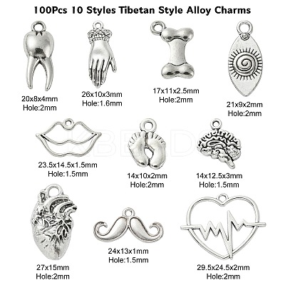 100Pcs 10 Styles Tibetan Style Alloy Charms TIBEP-CJ0002-51-1