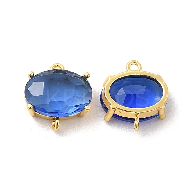 Transparent Glass Connector Charms KK-H438-09G-1