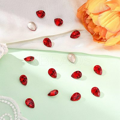 Preciosa® MAXIMA Crystal Fancy Stones X-PRC-FE14-90070-1