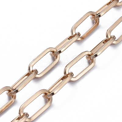 Iron Paperclip Chains Bag Straps AJEW-BA00001-1