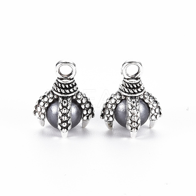Tibetan Style Alloy Charms PALLOY-S120-249F-RS-1