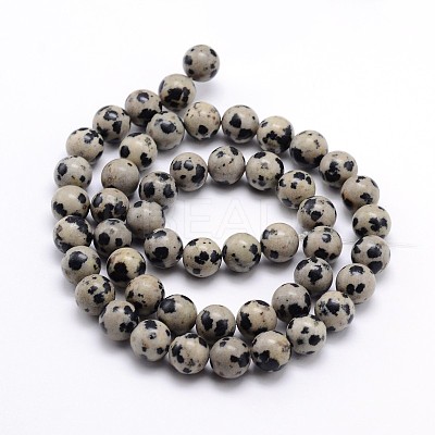 Natural Dalmatian Jasper Round Bead Strands X-G-J303-19-6mm-1