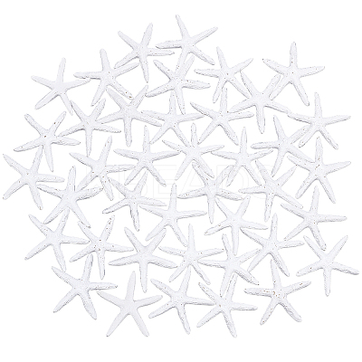 Resin Cabochons RESI-PH0001-34-WH-1