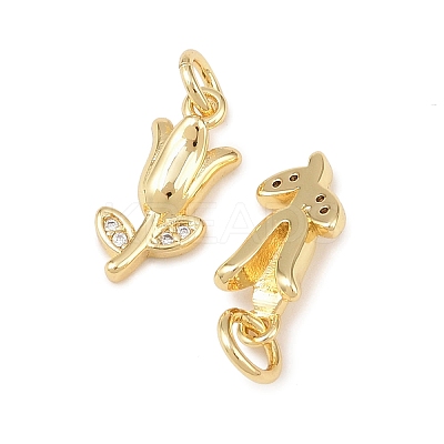 Brass Micro Pave Clear Cubic Zirconia Charms KK-G544-06G-01-1