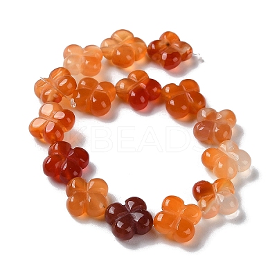 Natural Carnelian Beads Strands G-M418-D02-01-1