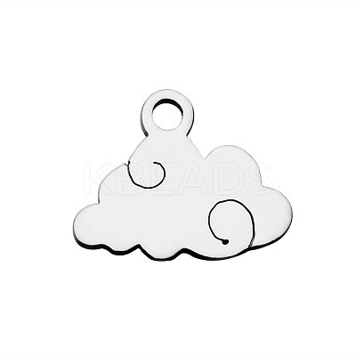 Tarnish Resistant 304 Stainless Steel Charms STAS-Q201-T481-1