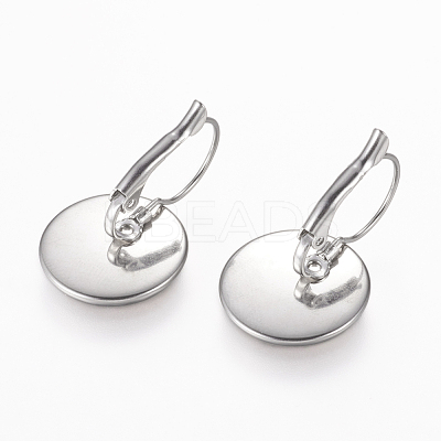 Tarnish Resistant 304 Stainless Steel Leverback Earring Findings STAS-L195-05P-1