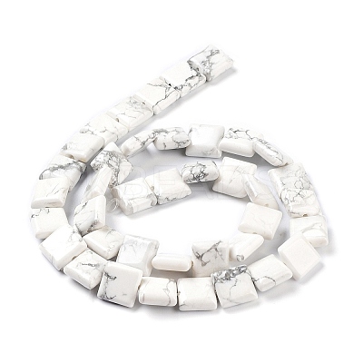 Natural Howlite Beads Strands G-K337-05-1