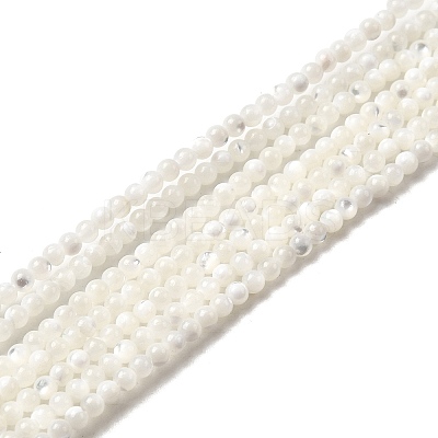 Natural White Shell Beads G-N0190-11-2mm-1
