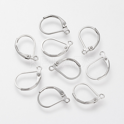 Tarnish Resistant 304 Stainless Steel Leverback Earring Findings X-STAS-S066-13-1