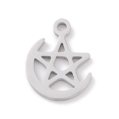 Non-Tarnish 304 Stainless Steel Charms STAS-K286-01F-P-1