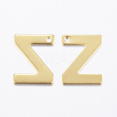 304 Stainless Steel Charms STAS-P141-Z-1
